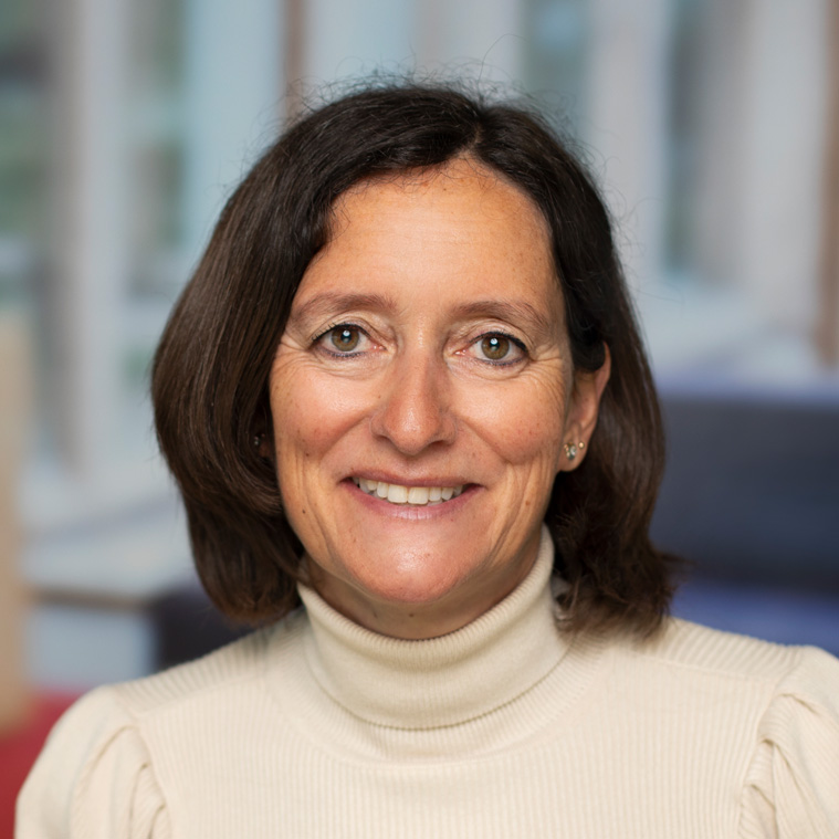 Hotelschool The Hague President of the Board of Directors